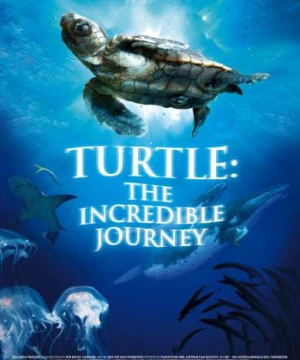 Hành Trình Vĩ Đại Của Loài Rùa (Turtle: The Incredible Journey) [2011]