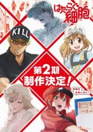 Hataraku Saibou!! (Cells at Work!!, Cells at Work! 2nd Season, Hataraku Saibou 2nd Season) [2021]