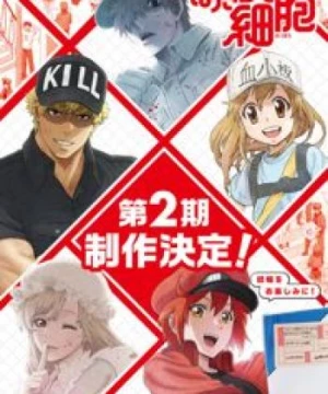 Hataraku Saibou!! (Cells at Work!!, Cells at Work! 2nd Season, Hataraku Saibou 2nd Season) [2021]