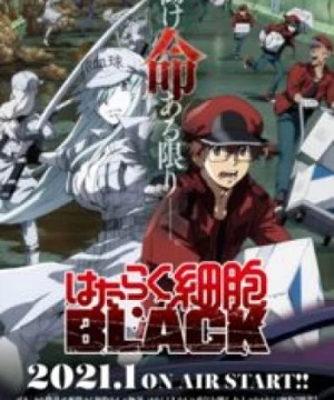 Hataraku Saibou Black (Cells at Work! CODE BLACK!) [2021]