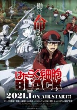 Hataraku Saibou Black (Cells at Work! CODE BLACK!) [2021]