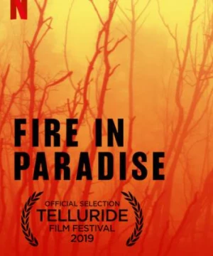 Hỏa hoạn tại Paradise (Fire in Paradise) [2019]