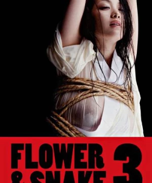 Hoa Và Rắn 3  (Flower & Snake 3) [2010]