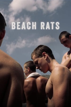 Chuột bãi biển (Beach Rats) [2017]