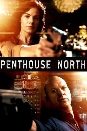 Hướng Bắc Tầng Thượng (Penthouse North) [2013]