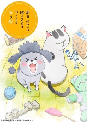 Inu to Neko Docchi mo Katteru to Mainichi Tanoshii (With a Dog AND a Cat, Every Day is Fun) [2020]