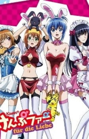 Kämpfer für die Liebe (Kampfer: Fur die Liebe, Kämpfer episode 13, Kämpfer episode 14) [2011]