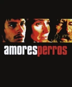 Kẻ Vô Đạo (Amores perros) [2000]