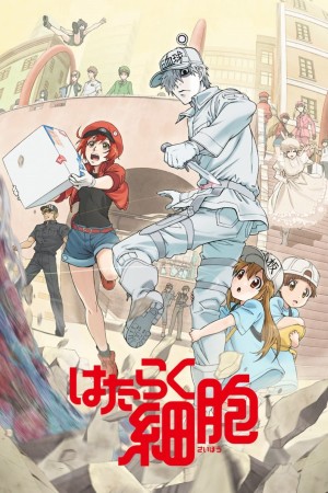 Khi Các Tế Bào Làm Việc (Phần 1) (Cells at Work! (Season 1)) [2018]