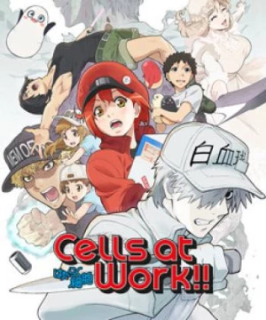 Khi Các Tế Bào Làm Việc (Phần 2) (Cells at Work! S2) [2021]