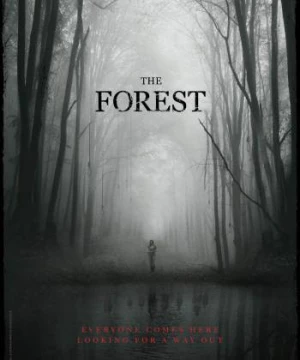 Khu Rừng Tự Sát (The Forest) [2016]