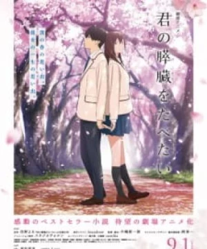 Kimi no Suizou wo Tabetai (I Want To Eat Your Pancreas, KimiSui, Let Me Eat Your Pancreas) [2018]