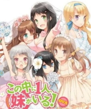 Kono Naka ni Hitori, Imouto ga Iru!: Ani, Imouto, Koibito (Kono Naka ni Hitori, Imouto ga Iru! OVA, Kono Naka ni Hitori, Imouto ga Iru! Episode 13, NakaImo, One of Them is My Younger Sister! OVA, Who is Imouto? OVA, NAKAIMO - My Little Sister Is Among Them! OVA) [2013]