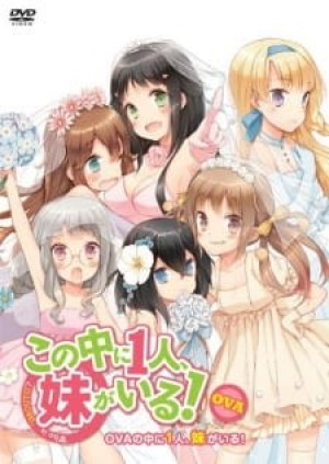 Kono Naka ni Hitori, Imouto ga Iru!: Ani, Imouto, Koibito (Kono Naka ni Hitori, Imouto ga Iru! OVA, Kono Naka ni Hitori, Imouto ga Iru! Episode 13, NakaImo, One of Them is My Younger Sister! OVA, Who is Imouto? OVA, NAKAIMO - My Little Sister Is Among Them! OVA) [2013]