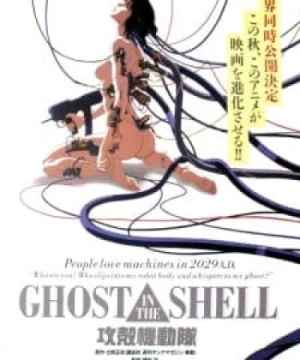 Koukaku Kidoutai (Ghost in the Shell) [1995]