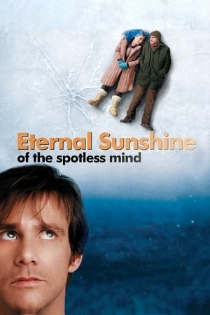 Ký Ức Tình Yêu (Eternal Sunshine of the Spotless Mind) [2004]