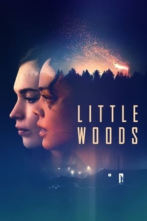 Lằn Ranh Số Phận (Little Woods) [2019]