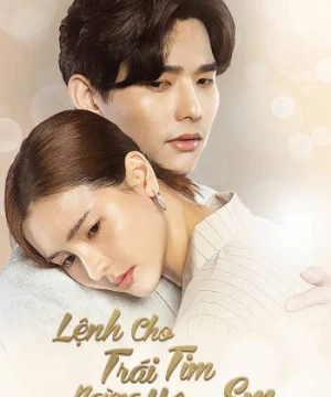 Lệnh Cho Trái Tim Ngừng Yêu Em (Irresistible) [2021]