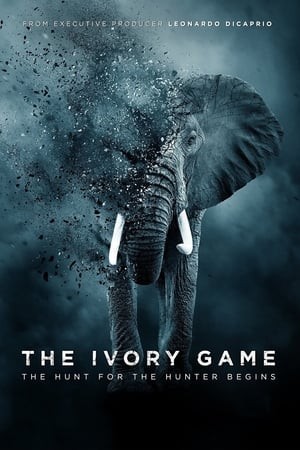 Kẻ Trộm Ngà Voi (The Ivory Game) [2016]