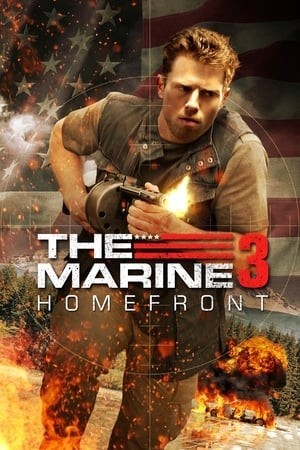 Lính Thủy Đánh Bộ 3 (The Marine 3: Homefront) [2013]