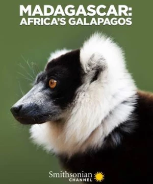 Madagascar: Africa's Galapagos (Madagascar: Africa's Galapagos) [2019]