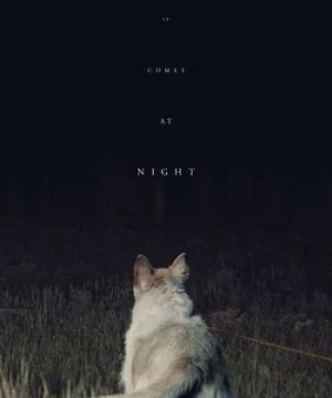 Màn Đêm Buông Xuống (It Comes At Night) [2017]