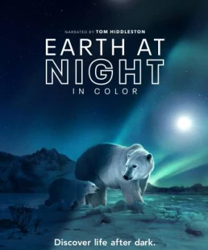 Màn đêm trên Trái Đất: Thước phim trong bóng tối (Night on Earth: Shot in the Dark) [2020]