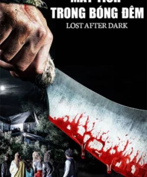 Mất Tích Trong Bóng Đêm (Lost After Dark) [2015]