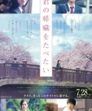 Mình Muốn Ăn Tụy Của Cậu (Kimi no Suizou wo Tabetai, Let Me Eat Your Pancreas) [2017]