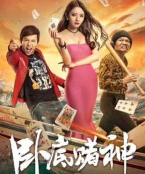 Nằm vùng trong sòng bạc (The Undercover Hero) [2017]