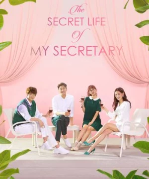 Nàng Thư Ký Của Tôi (The Secret Life of My Secretary) [2019]