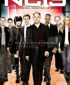 NCIS (Phần 11) (NCIS Season 11) [2013]