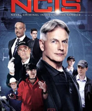 NCIS (Phần 12) (NCIS Season 12) [2014]