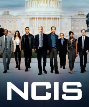 NCIS (Phần 14) (NCIS Season 14) [2003]