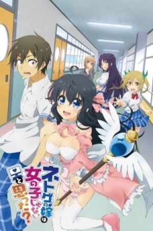 Netoge no Yome wa Onnanoko ja Nai to Omotta? (And you thought there is never a girl online?, Net Game no Yome wa Onna no Ko ja Nai to Omotta?, NetoYome) [2016]