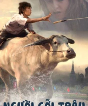 Người Cỡi Trâu (Buffalo Rider) [2015]