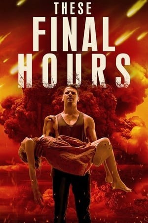 Thời Khắc Cuối Cùng (These Final Hours) [2014]