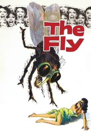 Người Ruồi (The Fly) [1958]