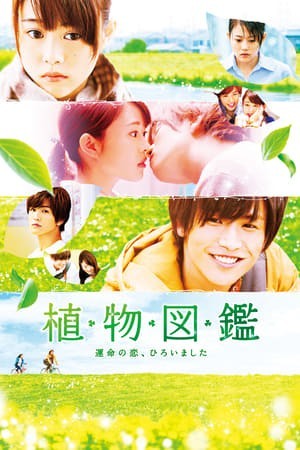 Tình Yêu Định Mệnh Chợt Đến (Evergreen Love) [2016]