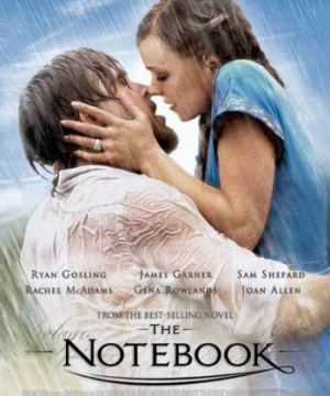 Nhật Ký Tình Yêu (The Notebook) [2004]