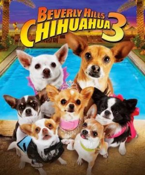 Những Chú Chó Chihuahua 3 (Beverly Hills Chihuahua 3: Viva la Fiesta!) [2012]