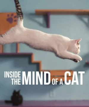 Những chú mèo nghĩ gì (Inside the Mind of a Cat) [2022]