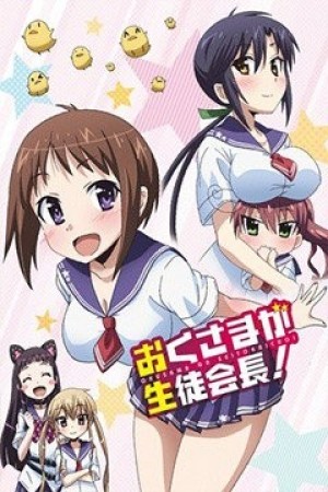 Okusama ga Seitokaichou! (Oku-sama ga Seito Kaichou!) [2015]