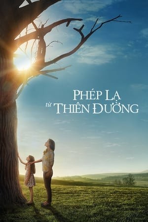 Phép Màu Từ Thiên Đàng (Miracles From Heaven) [2016]