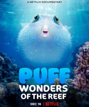 Puff: Rạn San Hô Kỳ Diệu (Puff: Wonders Of The Reef) [2021]