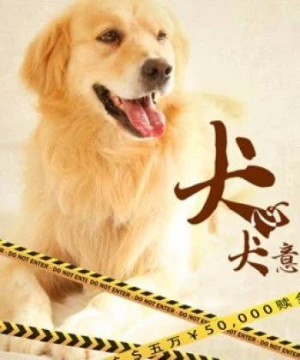 Quyết tâm của chó (A Dog&#x27;&#x27;s Life) [2016]