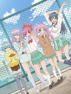 Sabage-bu! Specials (Sabagebu: Soshite Dareka Inakunatta, Sabagebu! OVA Special Mission) [2014]