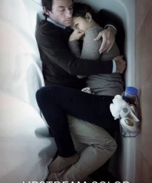 Sắc Màu Ngược Dòng (Upstream Color) [2013]