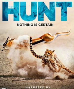 Săn Mồi (BBC: The Hunt) [2015]