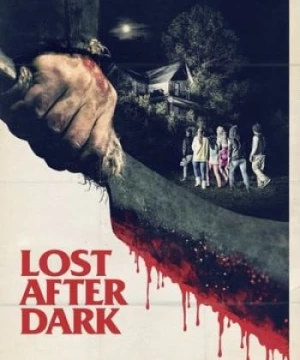 Sau Bức Màn Đêm (Lost After Dark) [2014]